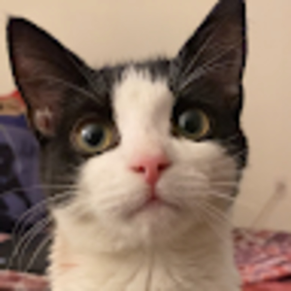 Meet your Posher, Chloe